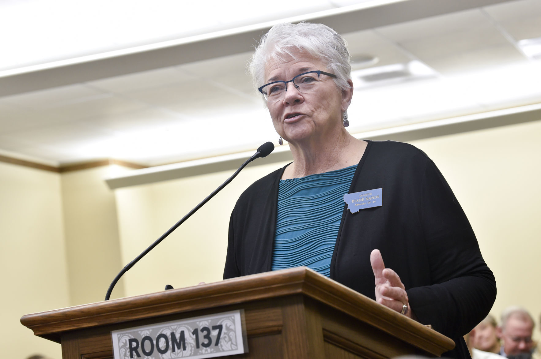 Sen. Diane Sands, D-Missoula,